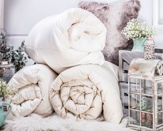 Naturtex paplan, párna webáuház